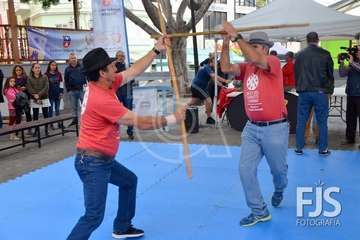 Los Llanos de Telde, en el día grande de sus fiestas patronales de 2019 (Foto Francisco Javier Santana)